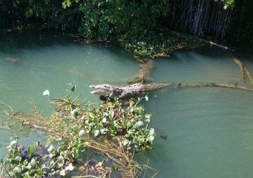 Black River