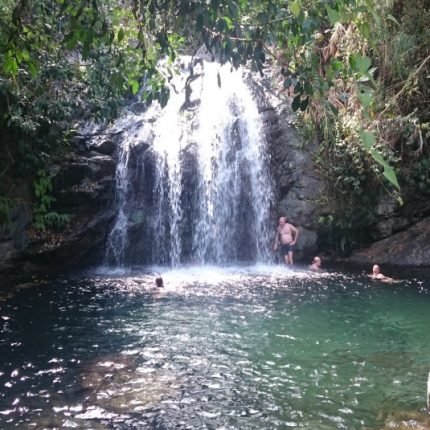 Fish Dunn Falls