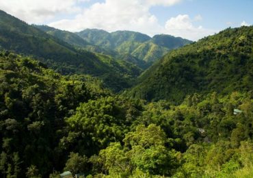 Blue Mountains in Jamaika