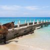 Pferd Jamaika Strand